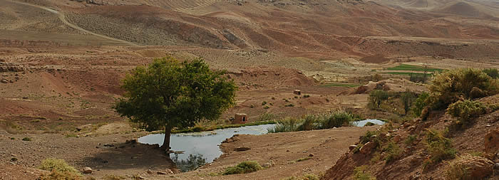 Qanat water is pooled above farmland for irrigation, as it has been done for thousands of years.